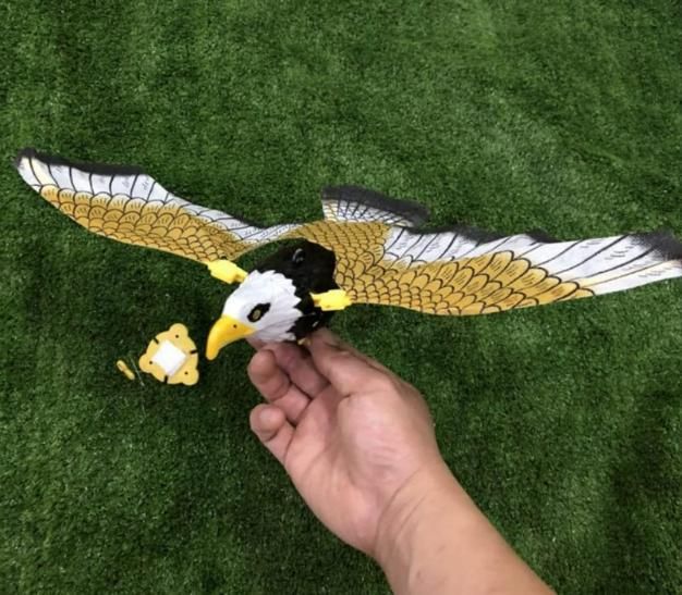 Eagle Flight Toy