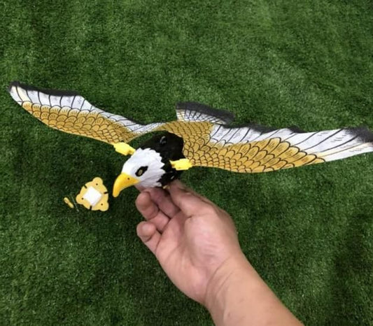Eagle Flight Toy