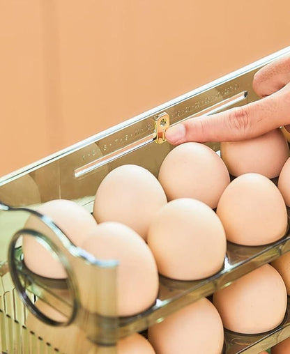 Flappable Egg Rack for Refrigerator